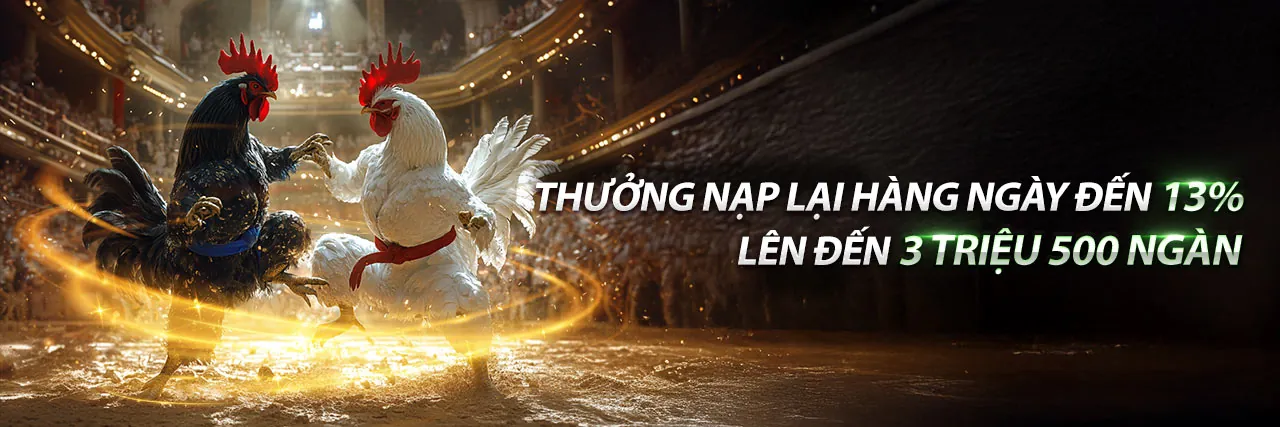 Đá Gà tf88 win 2026 - Trải nghiệm cá cược đá gà trực tuyến đỉnh cao