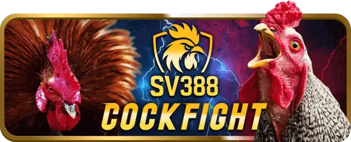 Giao diện cá cược thể thao TF88 Win